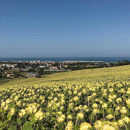 Agricampeggio Abbruzzetti Marina Palmense Extérieur photo